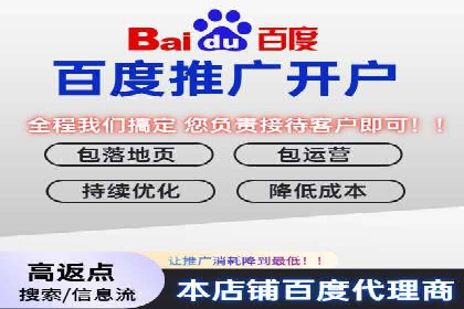百度推广案例：精准广告投放策略解析